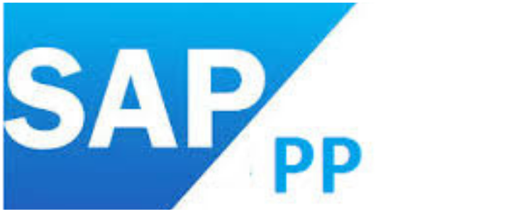SAP PP